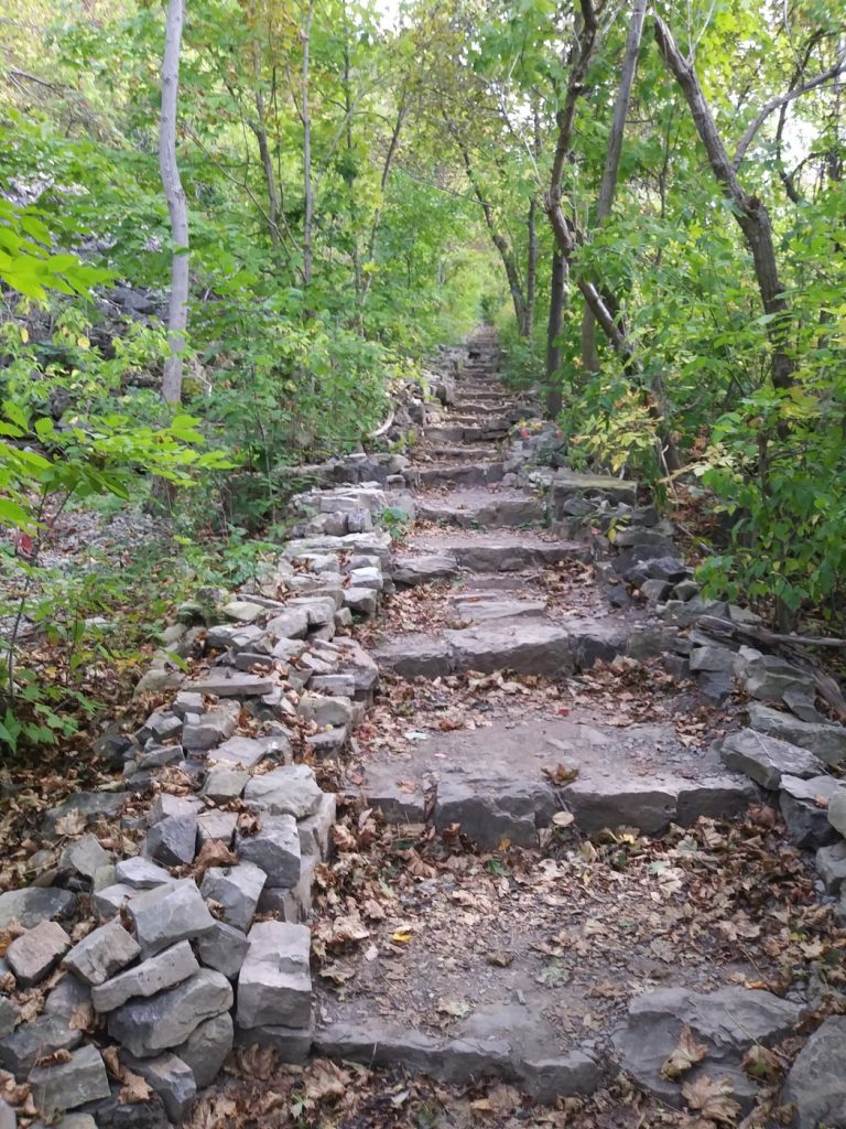 The Climb