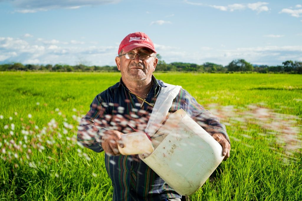 Inspiration Challenge - White on Rice